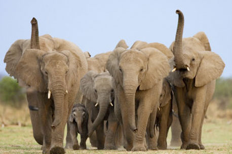 Maine GOP, #GEN207 to take 2016 presidential straw poll