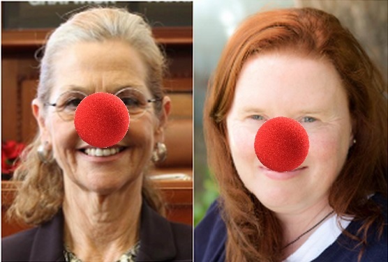 Truth in Packaging: Maine Democrats Don Clown Noses at Public Hearing
