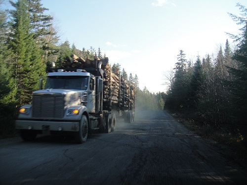 maine lumber truck