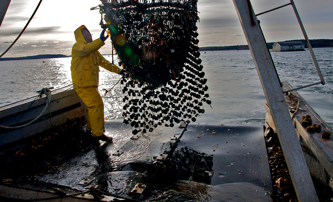 This is About Maine Jobs