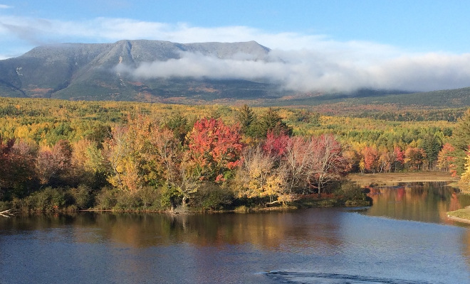 What’s going on in the North Woods?