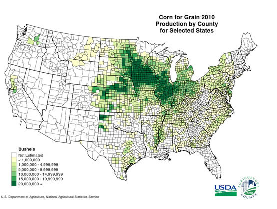 corn producers for ethanol