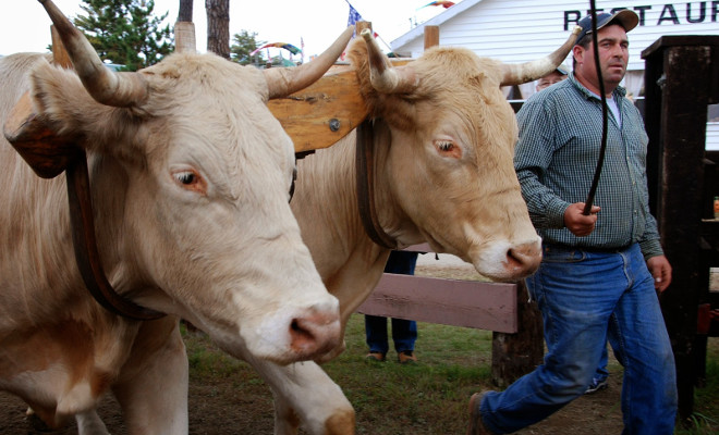 Maine Fairs Provide Educational Opportunities to Parents