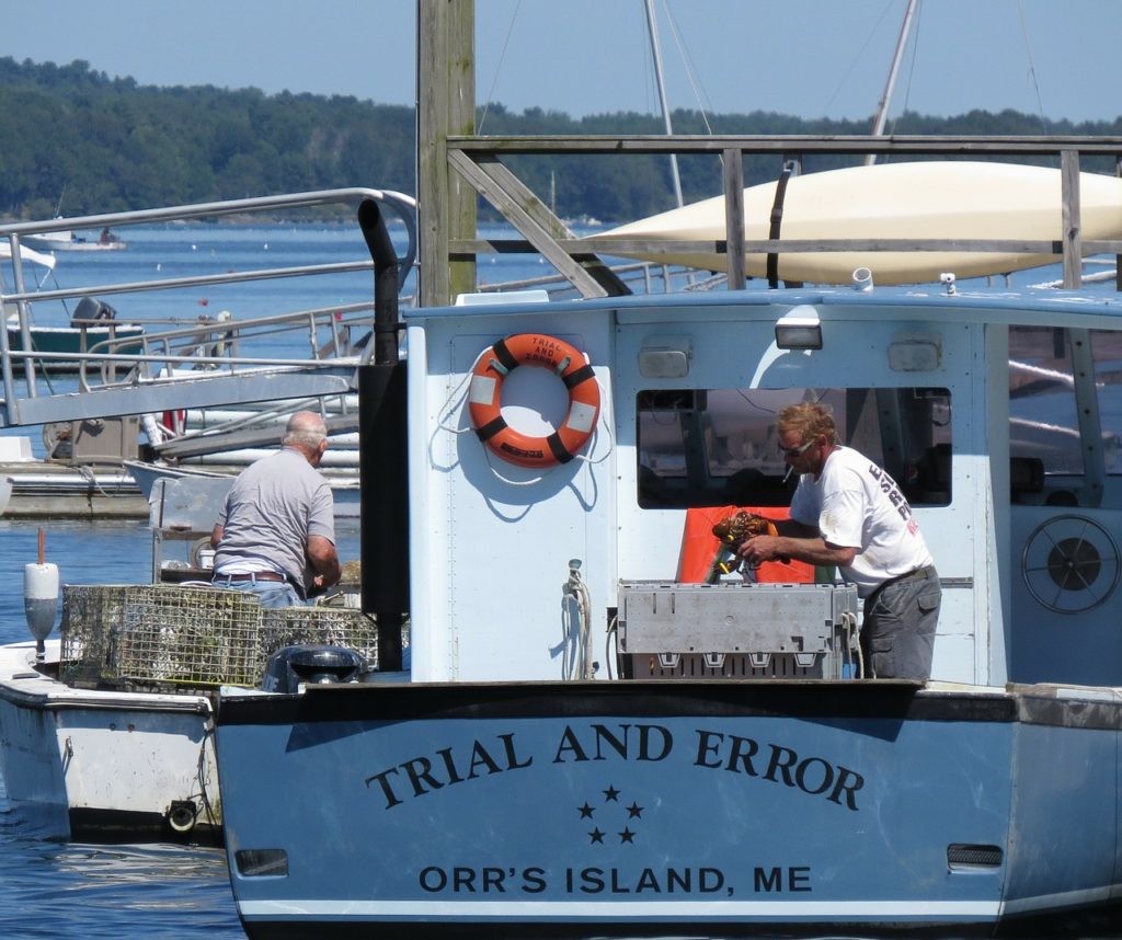 Governor Mills defies ‘foolish, unsupported and ill-advised’ regulations on Maine lobster industry