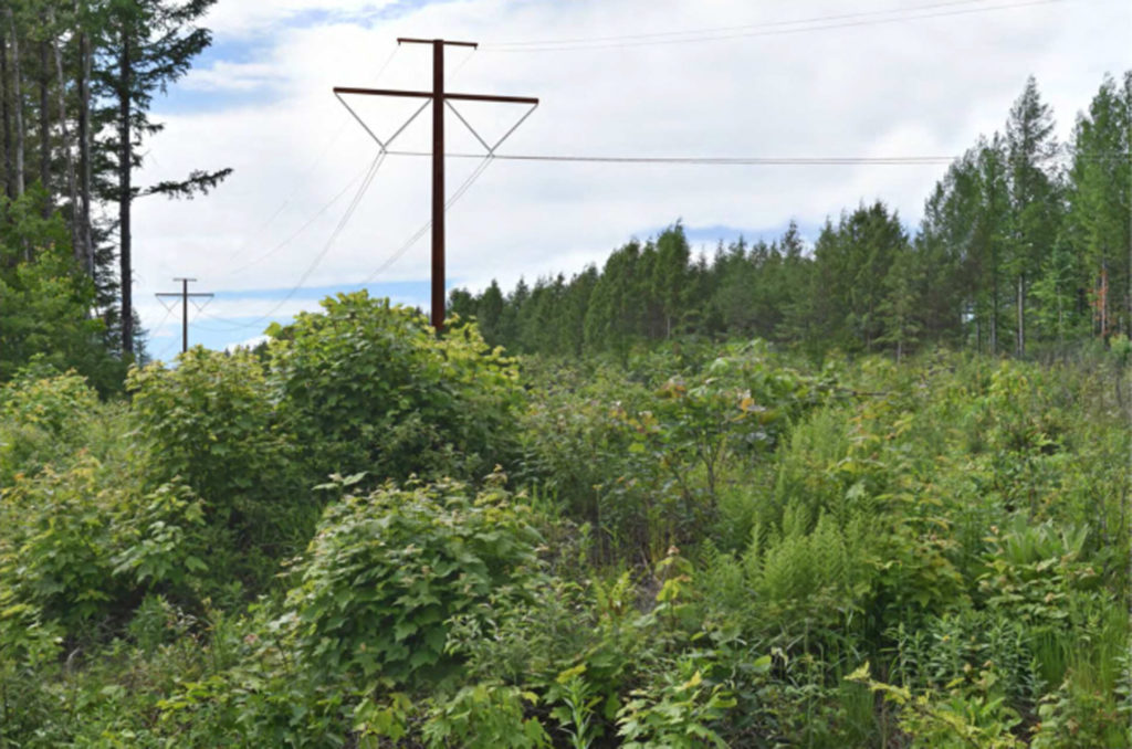The Heavily Criticized “Aroostook Renewable Gateway” Suffers Another Setback