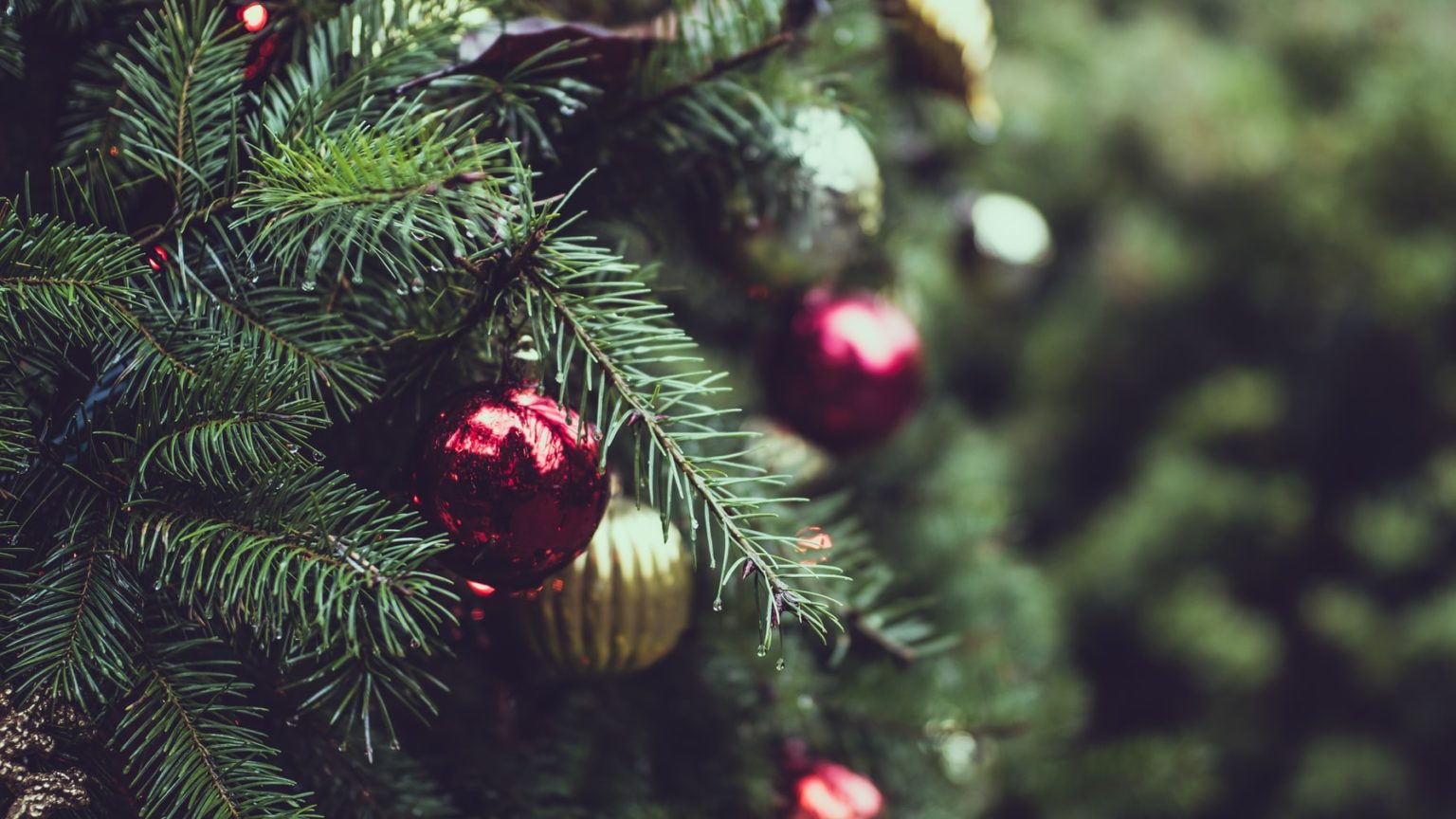 Count your blessings this holiday season