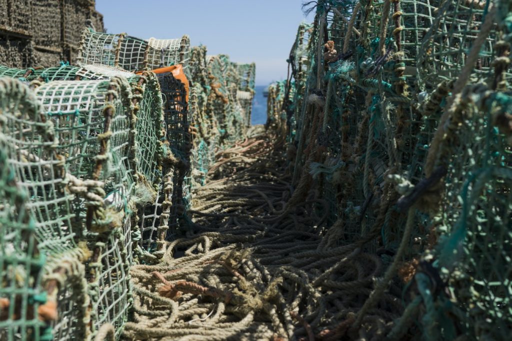 Maine lobster industry rocked by new, unworkable federal regulations