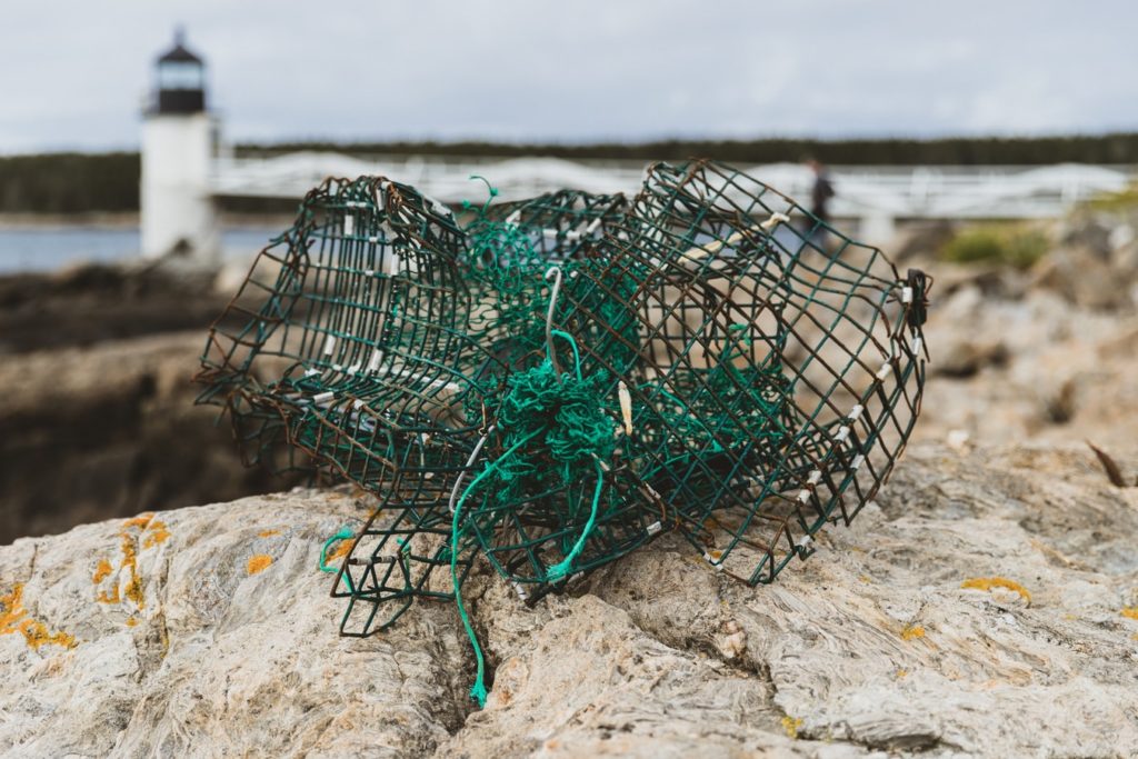 Maine’s lobster industry is under siege