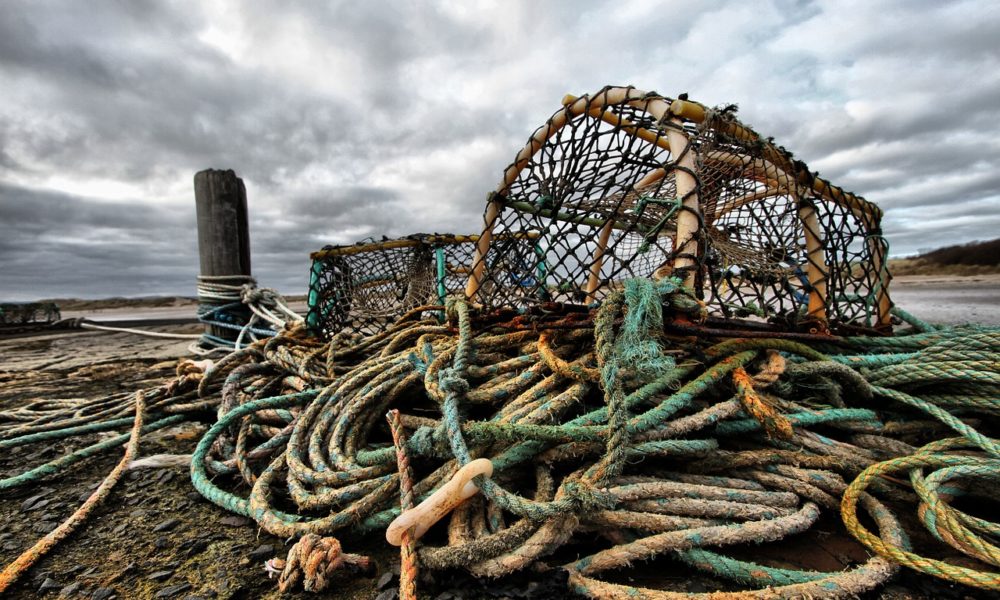 Bipartisan group of lawmakers sign letter opposing new lobster regulations