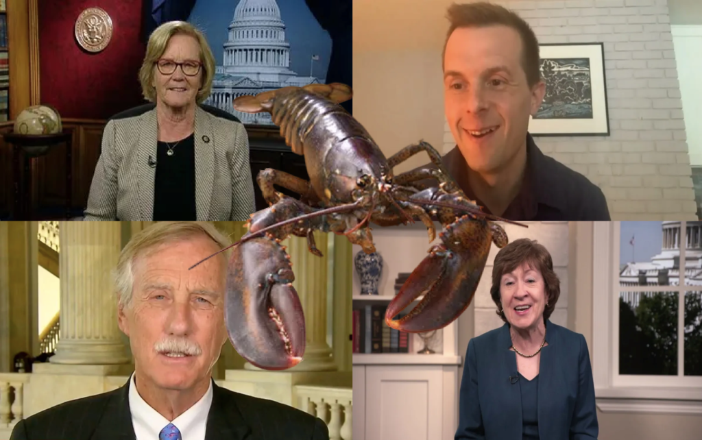 Maine Pols Brag About Stopping Unscientific Lobster Regs in Monsterous $1.7T Omnibus Bill