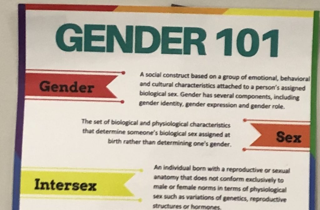 Out Maine, Controversial Group Pushing Gender Theory in Schools, Saw Taxpayer Funding Increase Under Mills