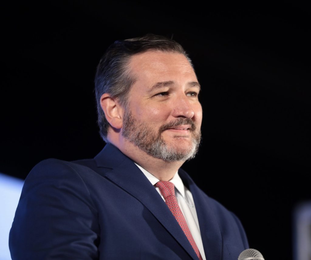 Ted Cruz Wants “Epic” GOP Fight Over IRS Expansion