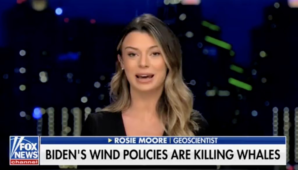 Scientist to Tucker: Liberal Wind Power Threatening Right Whale Extinction