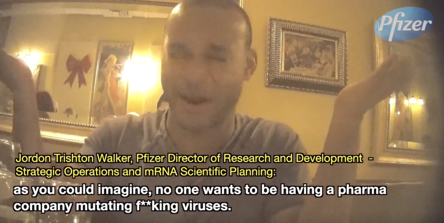 Pfizer Director of Research Spills Virus, Vaccine Secrets in Project Veritas Undercover Video