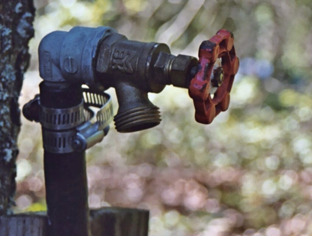 White House Orders New PFAS Measures, Releases Federal Data