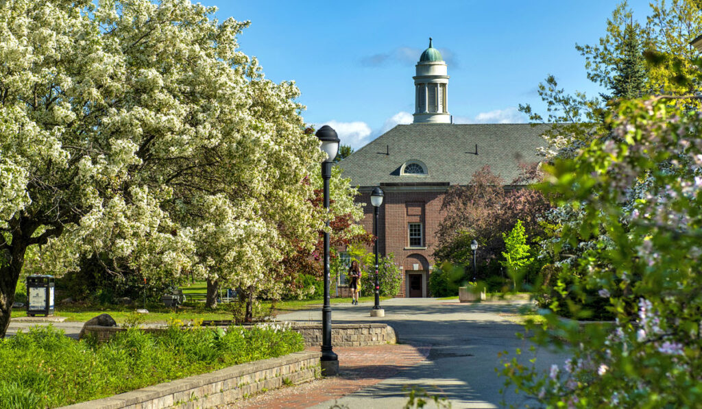 Young Americans for Liberty, GOP Reps Win Fight Against UMaine’s Vaccine Mandate