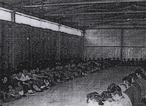 Bosnian War Criminal Masqueraded as Massachusetts Man in Brazen US Immigration Scam