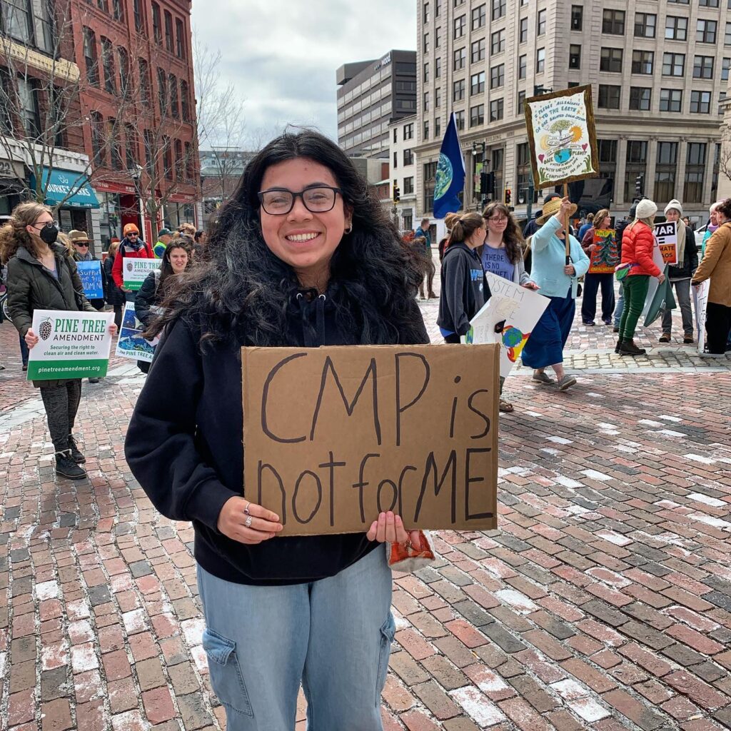 Freedom and Prosperity on the Line in Pine Tree Power Referendum