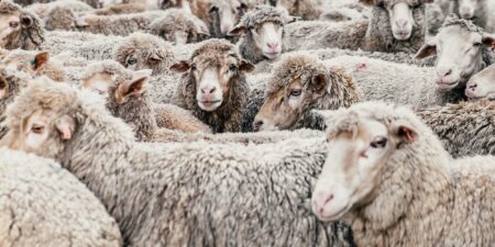 Study Shows Nearly a Third of Gen Z Supports In-Home Government Surveillance Cameras