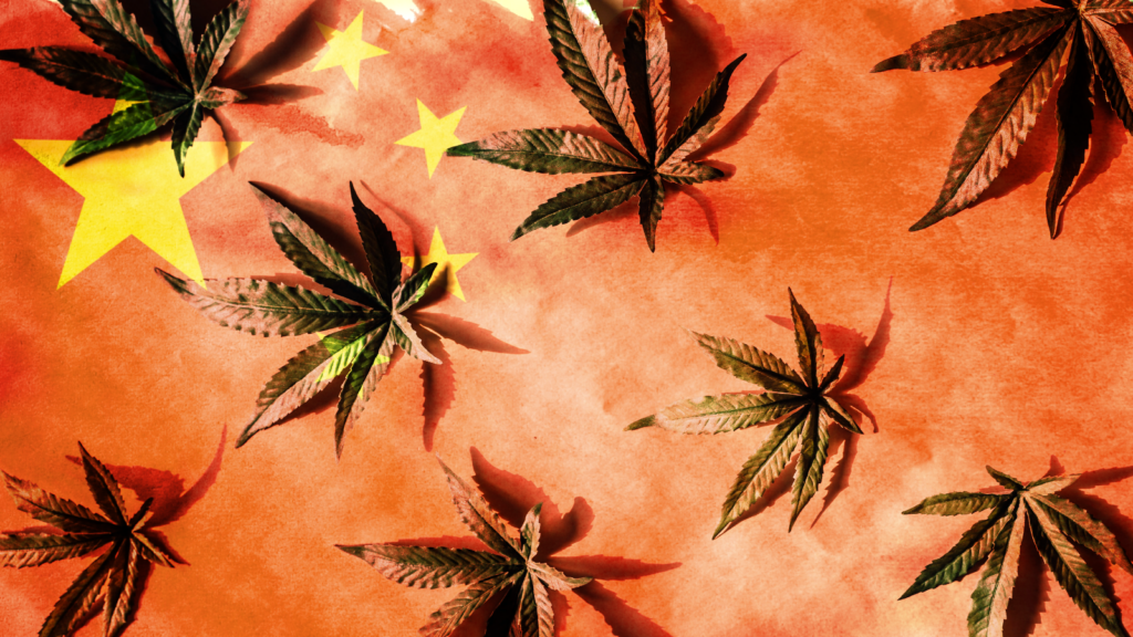 Triad Weed: Maine House Votes Down Bill Aimed at Fighting Transnational Organized Crime