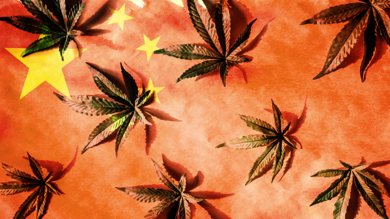 Triad Weed: Maine House Votes Down Bill Aimed at Fighting Transnational Organized Crime