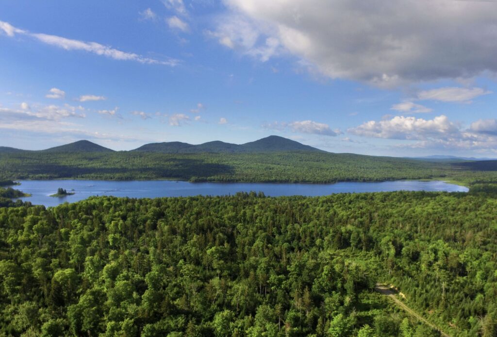 Far Left Activists Shaft Rural Maine Over Wolfden Resources’ Pickett Mountain Mine