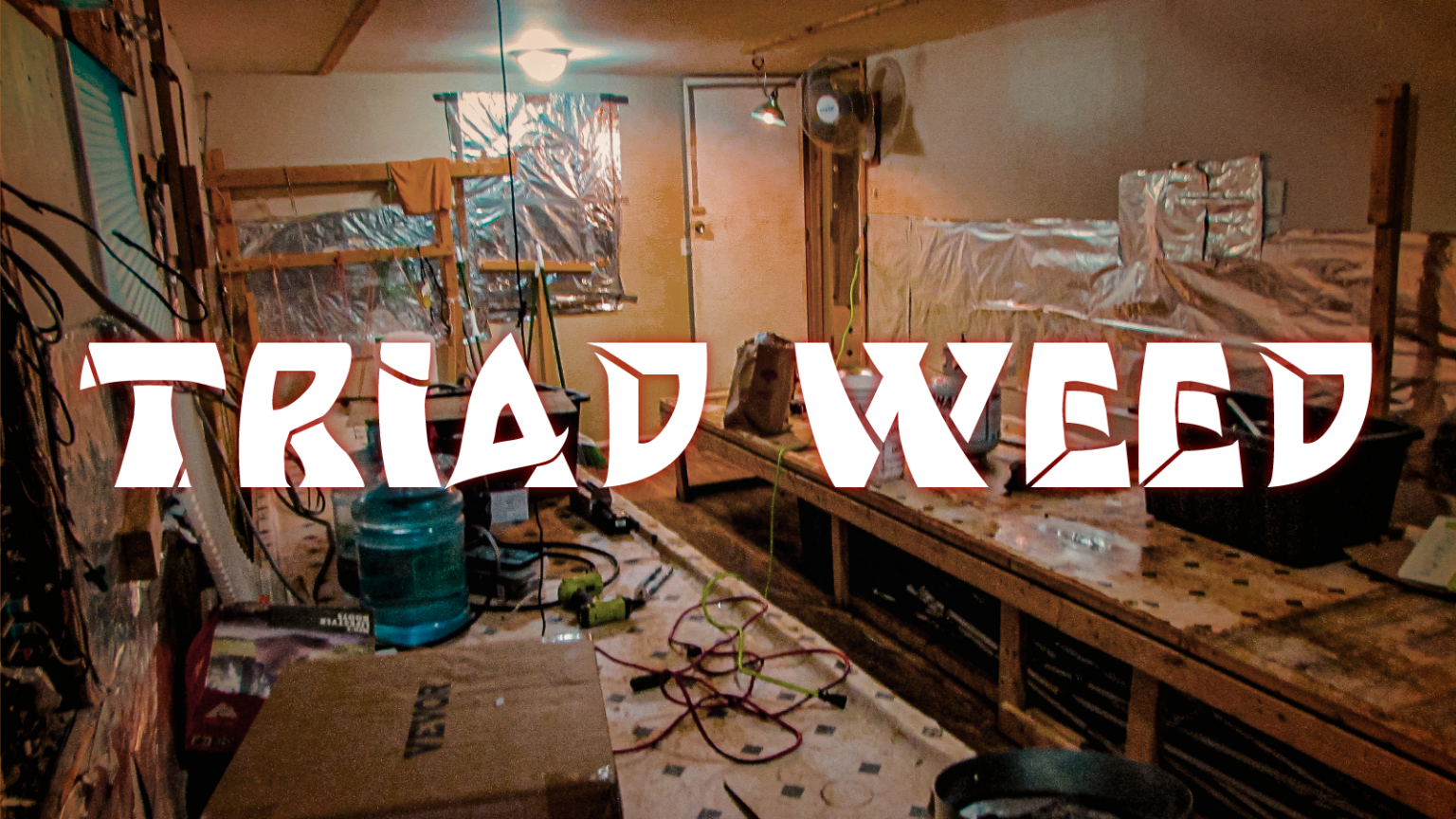 Triad Weed: State Law Enforcement, Feds Struggle to Clamp Down on Illegal Chinese Drug Operations in Maine