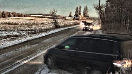 Border Patrol Apprehends 20 Romanian Nationals Who Illegally Crossed US-Canada Border into Hodgdon
