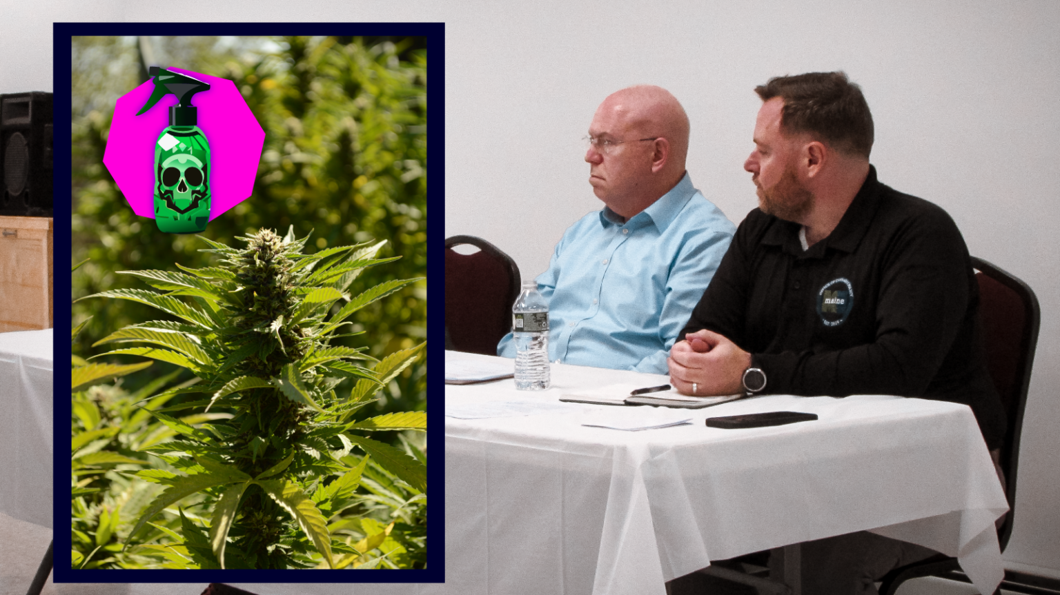 By the Numbers: A Look at Maine’s Recreational and Medical Marijuana Industries