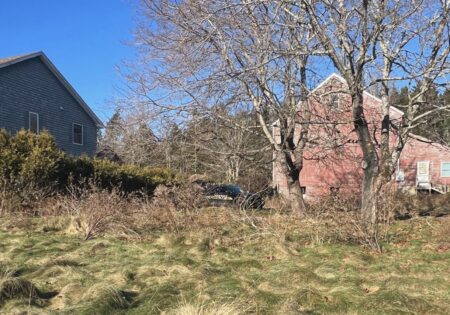 Triad Weed: Maine Law Enforcement Raids Machias Marijuana Grow, Arrests Three Suspected Non-Citizens
