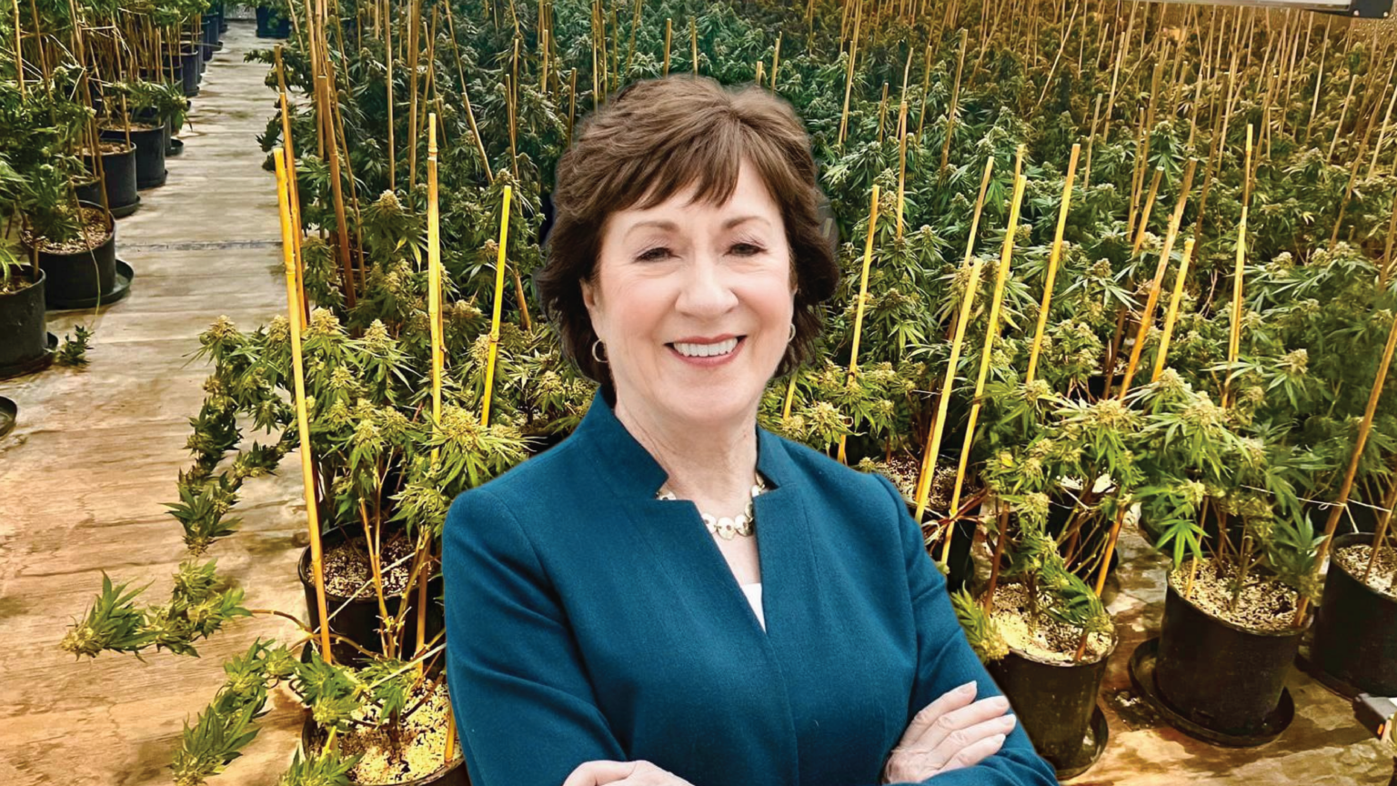 Collins Grills FBI Director Wray Over Rural Maine’s Triad Weed Epidemic