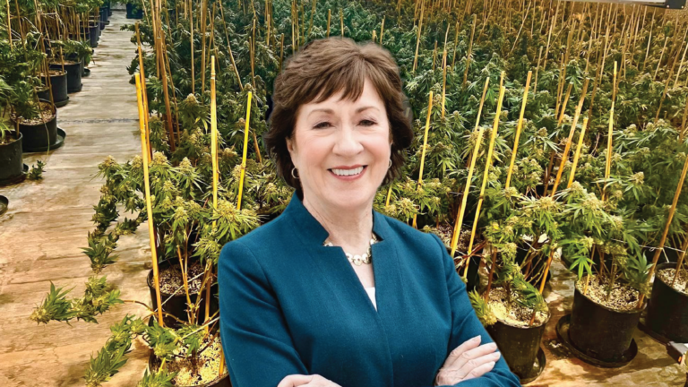 Collins says China-linked Drug Networks are Expanding in Maine as Crackdown Language Heads to Trump’s Desk