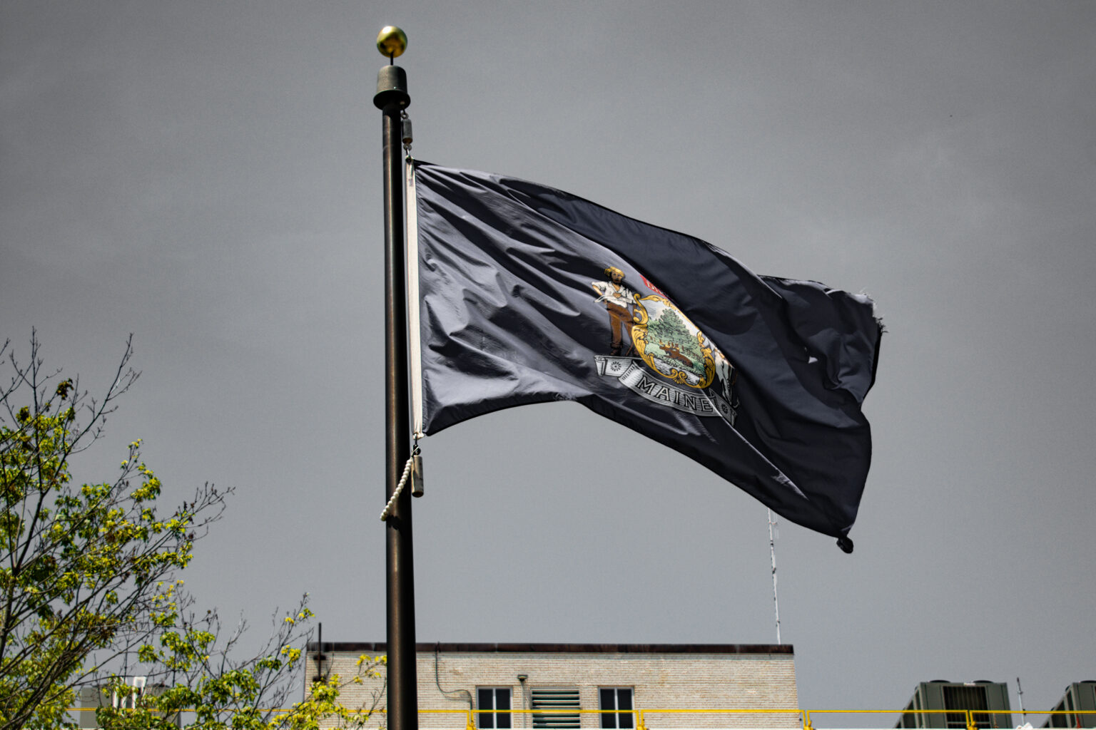 New Laws Approved by Voters Last November Go Into Effect