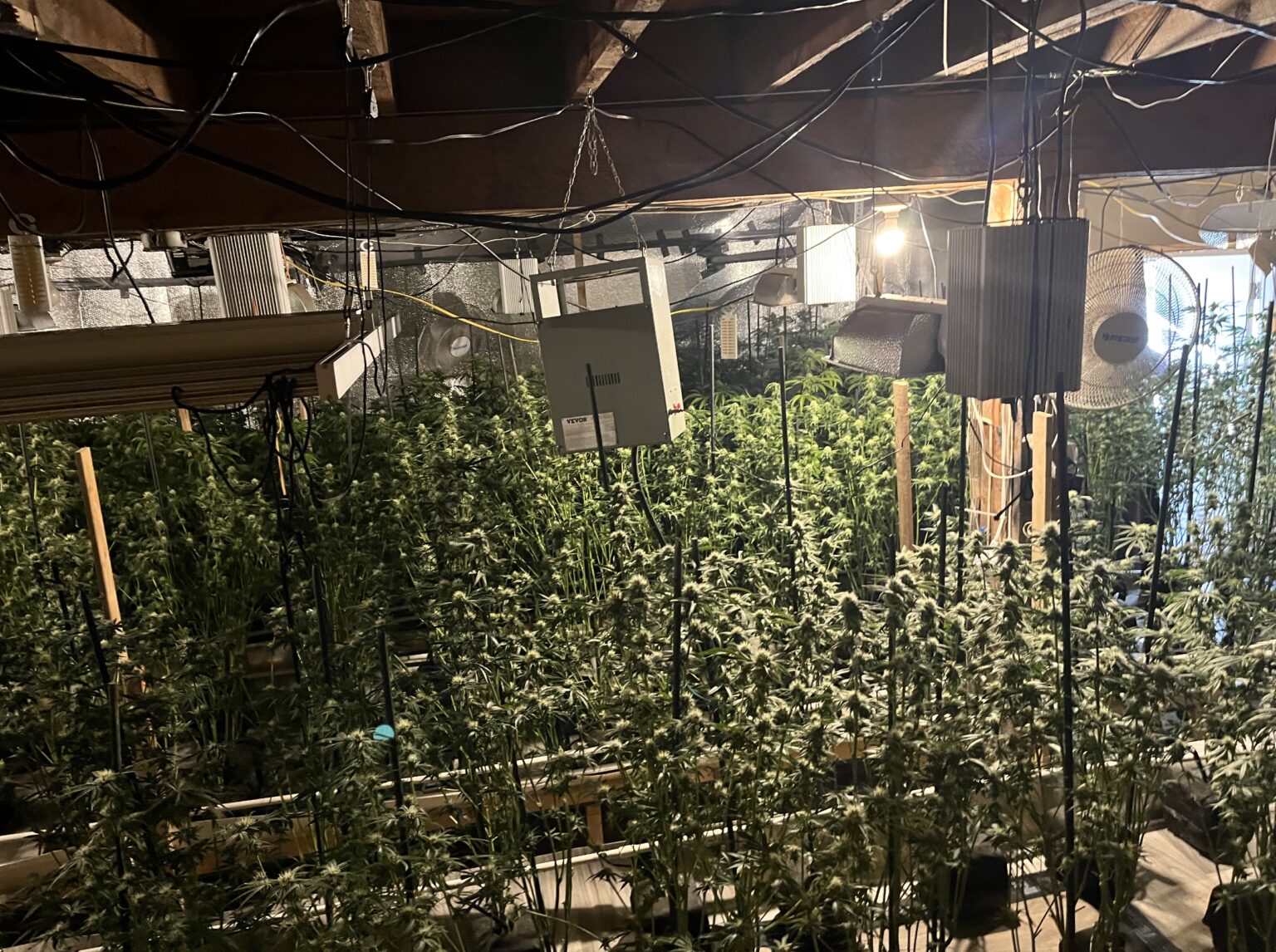 Triad Weed: U.S. Justice Department Moves to Seize Properties in Maine Linked to Large-Scale Marijuana Operations