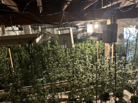 Triad Weed: U.S. Justice Department Moves to Seize Properties in Maine Linked to Large-Scale Marijuana Operations