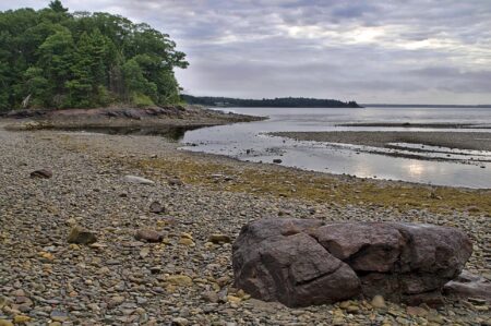 Reagan Paul: Sears Island May Be the Next Victim of Maine’s Radical Climate Agenda
