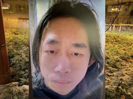 Triad Weed: Valentine’s Day Bust Breaks Heart of New York Man Illegally Growing 1,310 Pot Plants in Norridgewock, Maine