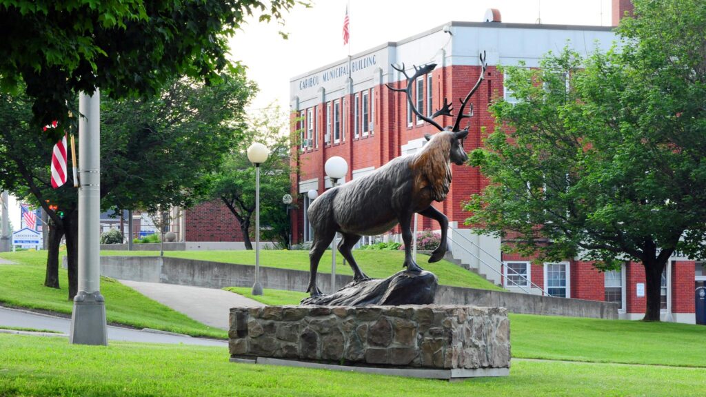 California Man Accused of Running Massive Drug Trafficking Operation Out of Caribou Home