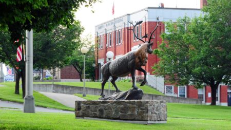 California Man Accused of Running Massive Drug Trafficking Operation Out of Caribou Home