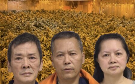 Maine Sheriff Busts Trio of Brooklynites as Crackdown on Triad Drug Trafficking Continues – Maine State Police AWOL