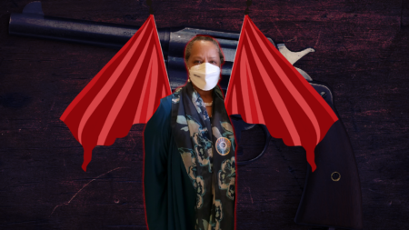 Public Hearing for “Red Flag Law” Bill Scheduled During Snow Storm