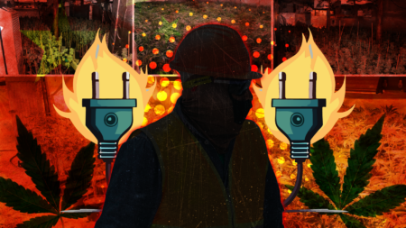 The Triad’s Electrician: Meet the 87-Year-Old “Frontman” for Chinese Marijuana Grows in Maine