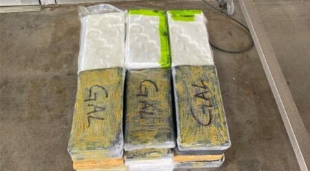 Texas Border Agents Seize More Than $750k in Cocaine Hidden in Vehicle