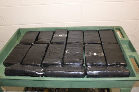 Nearly $500k in Cocaine Hidden in Cotton Candy Shipment Seized at U.S.-Mexico Border Crossing