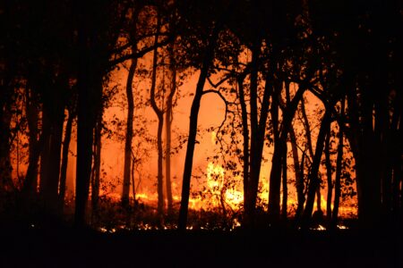 Maine Receives $258k to Develop Wildfire Prevention Plans in Northern and Downeast Regions