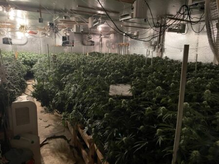 Maine Sheriff Raids 20th Chinese Mafia Drug House of 2024