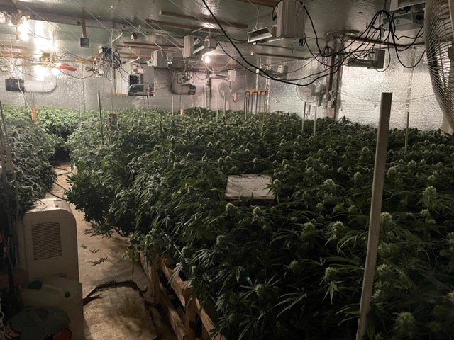 Maine Sheriff Raids 20th Chinese Mafia Drug House of 2024