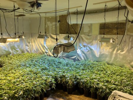 Triad Weed: Kennebec Sheriff’s Office Two More Illegal Pot Grows — No Arrests