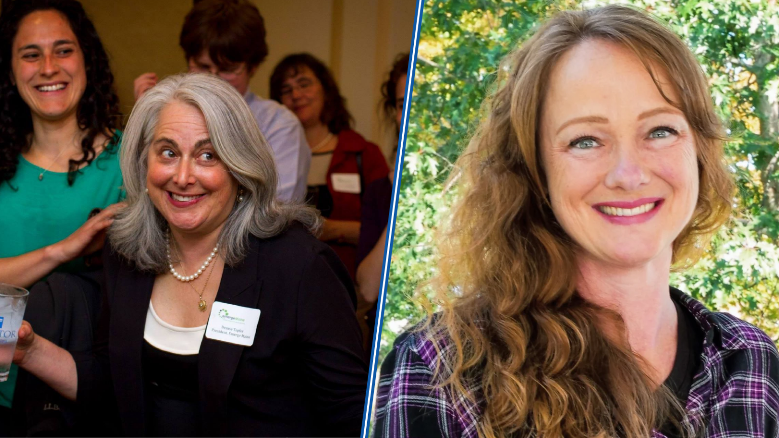 Recount Requested in Dem Primary for State Senate Seat After Winner Decided by 24 Vote Margin