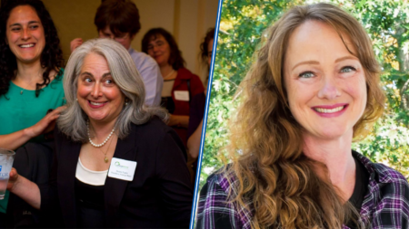 Recount Requested in Dem Primary for State Senate Seat After Winner Decided by 24 Vote Margin